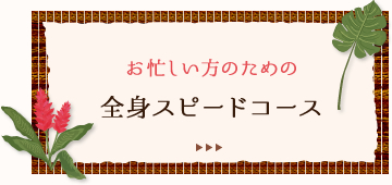 お忙しい人のための　全身スピードコース