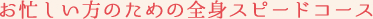 お忙しい方のための全身スピードコース