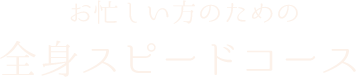 お忙しい方のための全身スピードコース